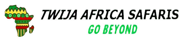 logo-image